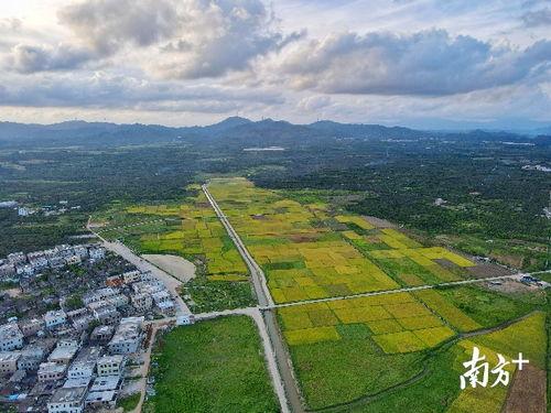 惠来县鳌江镇爆料事件最新,事件真相及后续进展全解析 第3张 惠来县鳌江镇爆料事件最新,事件真相及后续进展全解析 第3张